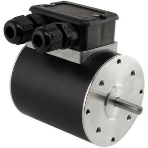 reversible motor 1