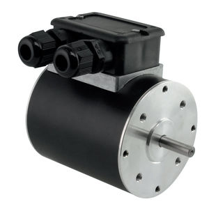 reversible motor