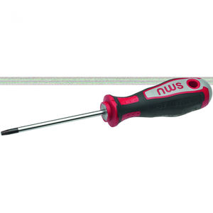 Torx screwdriver