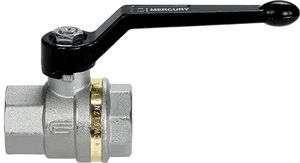 ball valve 1