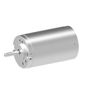 brushed motor