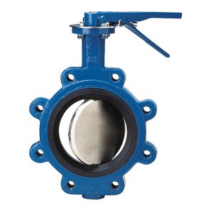 butterfly valve 1