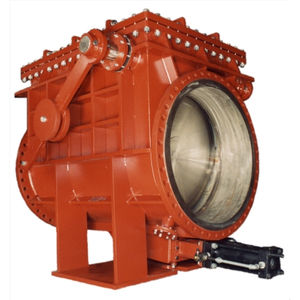swing check valve