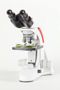 optical microscope 1