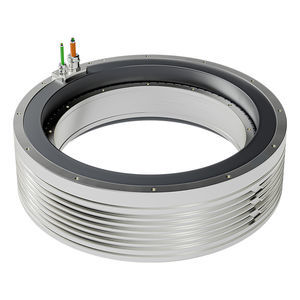 AC torque motor 1