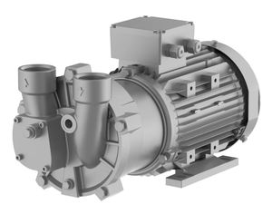 liquid ring vacuum pump 1