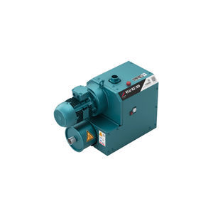 Roots vacuum pump