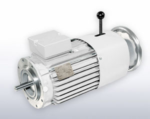 AC brake motor