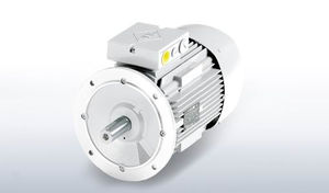 AC motor