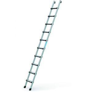 anodized aluminum ladder