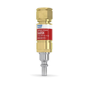 flashback arrestor with check valve 1
