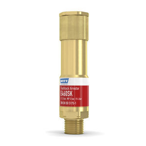 flashback arrestor with check valve 1