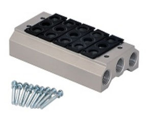 multi-channel manifold