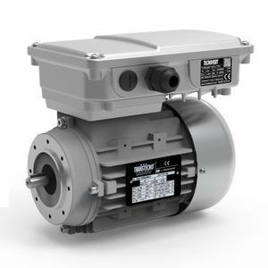 motor with integrated inverter