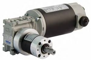 permanent magnet gear-motor 1