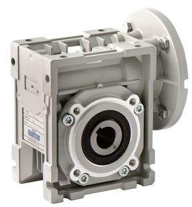 worm gear reducer
