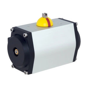 pneumatic valve actuator