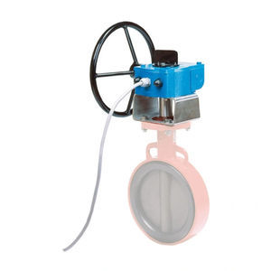 manual valve actuator 1