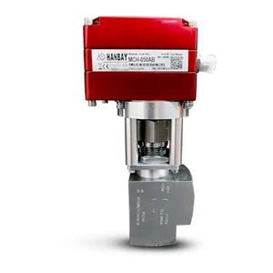 needle valve 1