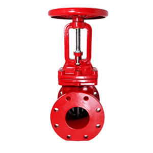 gate valve