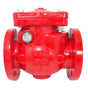swing check valve