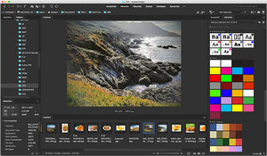 asset management software
