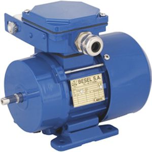 single-phase motor / induction / 220 V / 2-pole