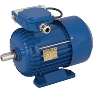induction motor 1