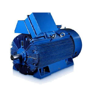 high-voltage motor / three-phase / 6000 V / 10-pole