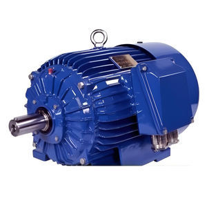 IE1 motor 1