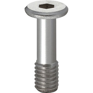 threaded bolt