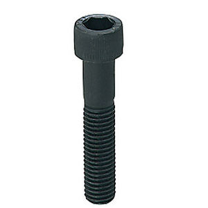 screw with hexagonal head / hex socket