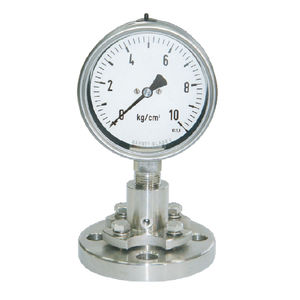 带法兰连接的隔膜密封