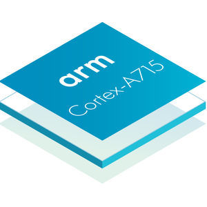 ARM processor