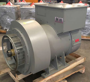 海洋应用交流发电机