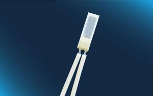 Pt100 temperature sensor 1