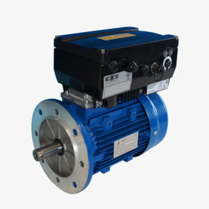 asynchronous motor 1