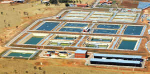 activated sludge sewage treatment plant