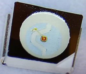 white LED 1