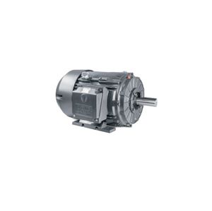 asynchronous motor 1