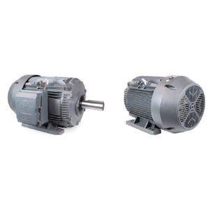 AC motor