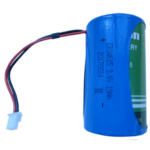 lithium battery / D type