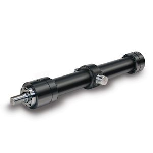 hydraulic cylinder