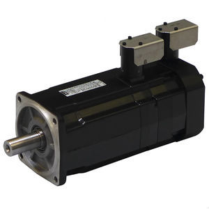 AC servomotor