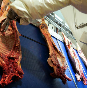 robotic cutting system 1