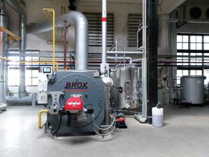 gas steam generator