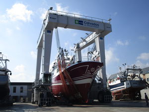 heavy load travel lift