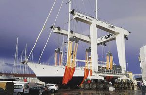 mobile gantry crane 1