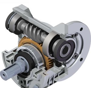 worm gear reducer