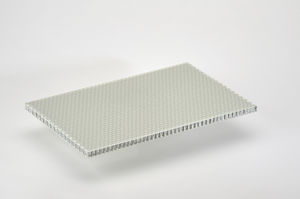 honeycomb sandwich panel 1